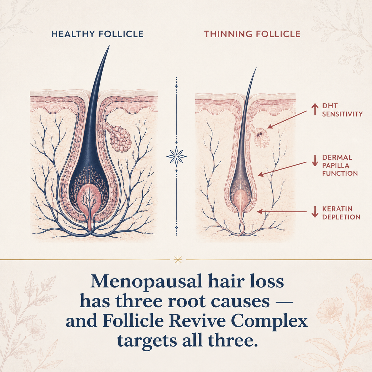 Follicle Revive Complex